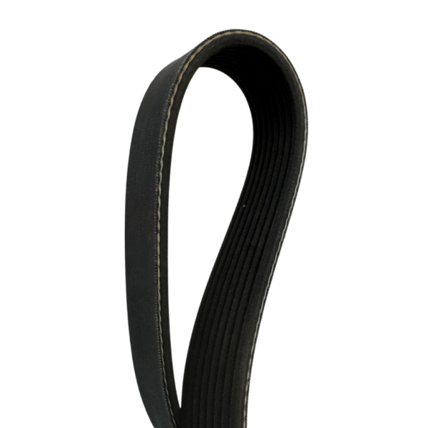 Banda Poly V Carrier Original 8 Canales, Ts-200/Ts-300